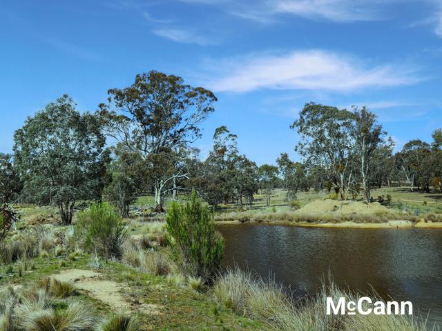 2326 Rye Park Road (Broadway), NSW 2581