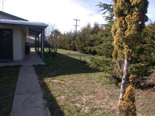 Backyard (2003-09-02)