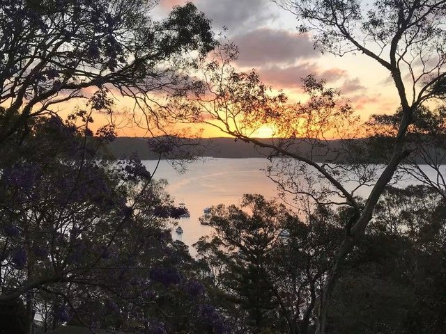 66 Trappers Way, NSW 2107