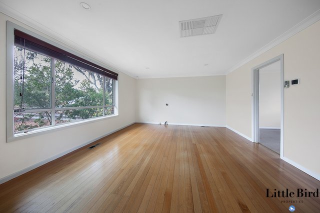 58 Rapanea Street, ACT 2611