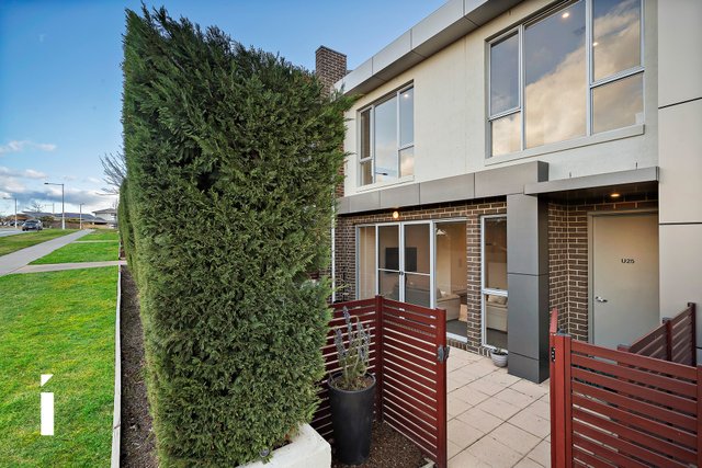 25/11 Clingan Street, ACT 2611