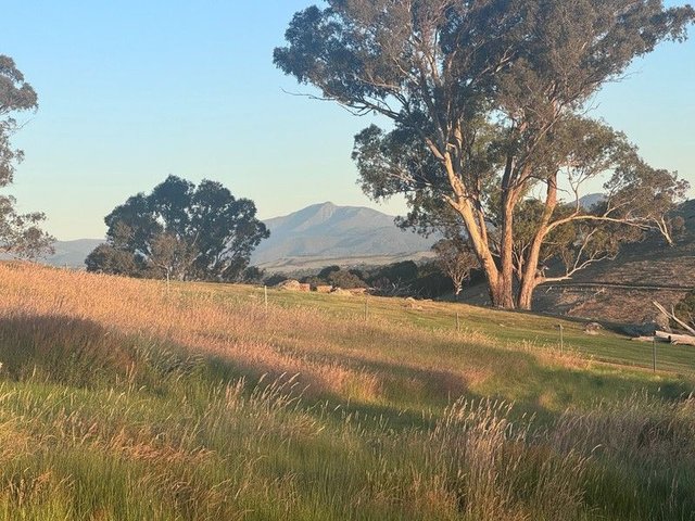 10 Range View Court, VIC 3722