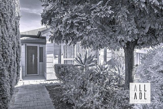 10 Shelley Street, SA 5070