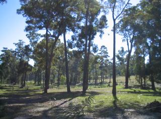 Land (2008-03-17)