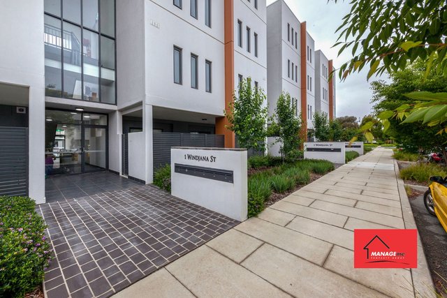 82/1 Windjana Street, ACT 2914