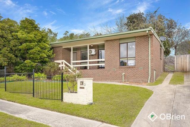 3 Kildare Court, VIC 3199