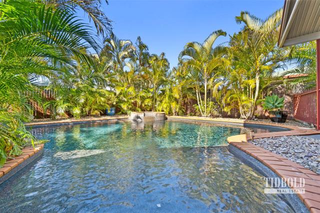 3 Parklands Court, QLD 4165