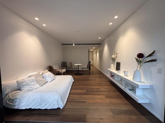 8 Central Park Ave, NSW 2008