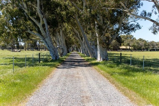 156 Feast Road, WA 6125