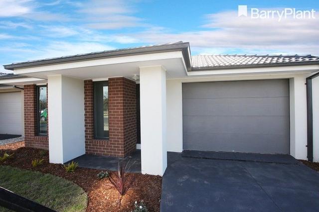 41 Cottle Drive, VIC 3978