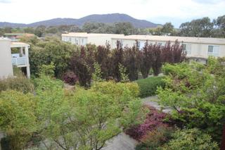 Garden (2012-10-10)