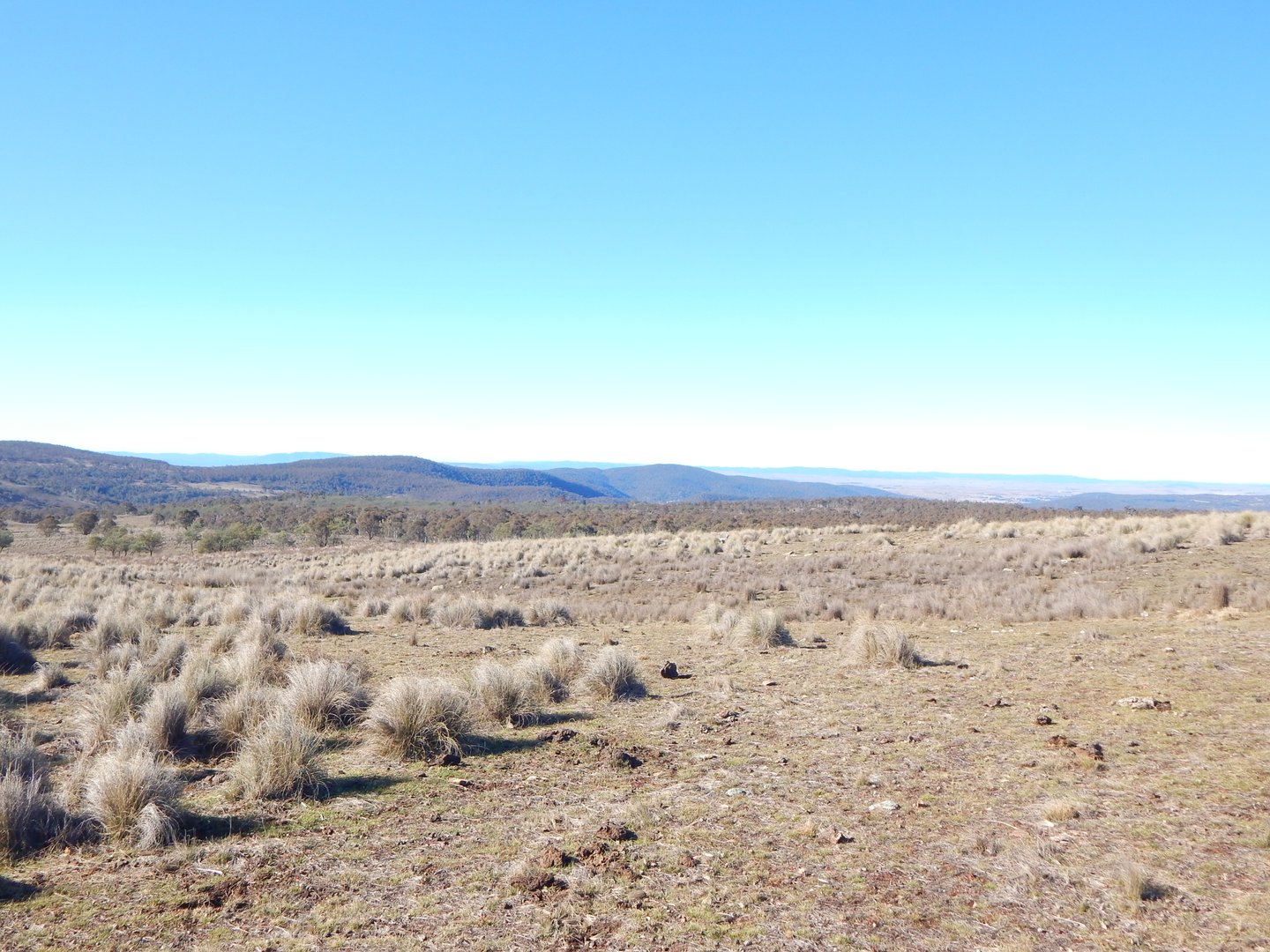 200 Muddah Lake Road, Cooma NSW 2630, Cooma - Image 1