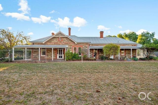 5 Osborne Street, SA 5069