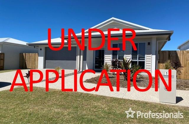 17 Chester Cres, QLD 4740