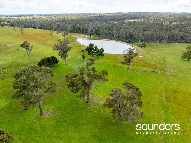 1262 Bridport Road, TAS 7262