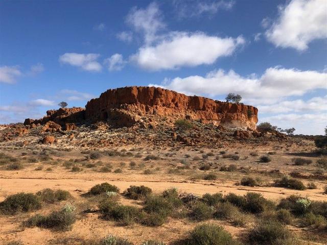 Mount Farmer Station, WA 6638