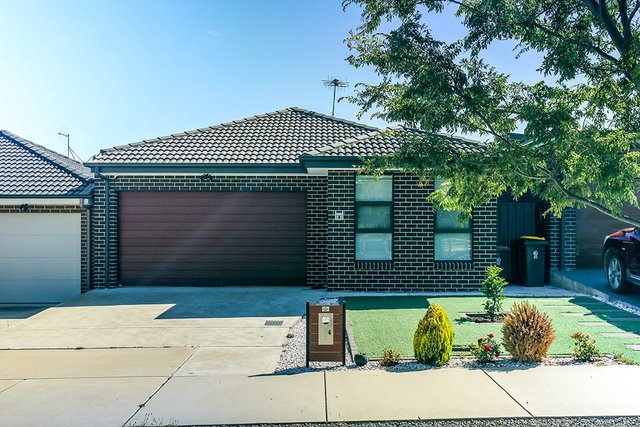 4 Quokka Street, ACT 2914