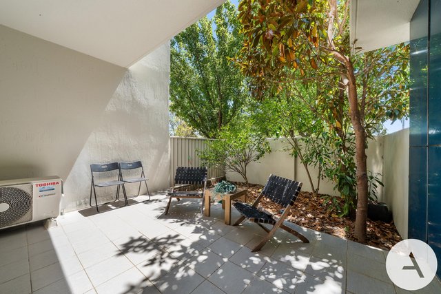 72/311 Flemington Rd, ACT 2913