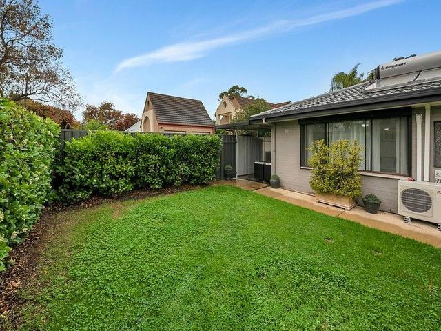 33 Vine Terrace, SA 5087