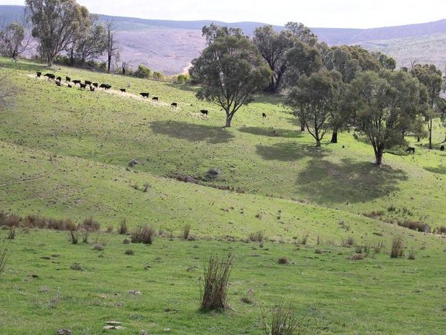 Old Tumbarumba Road, NSW 2730