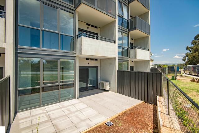 3/3 Buninyong Street, ACT 2602