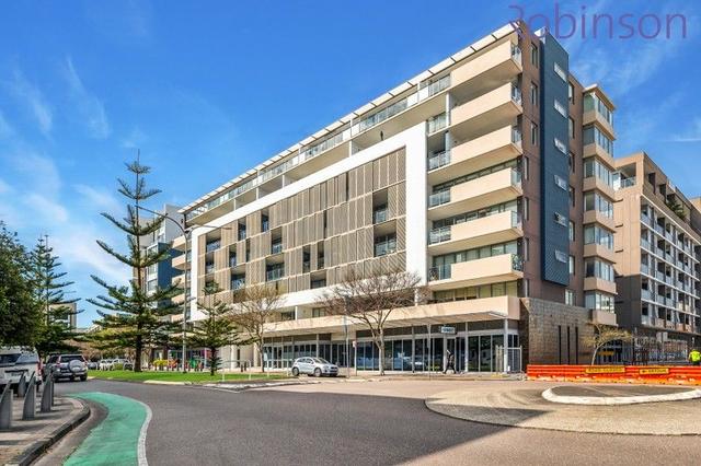 401/4 Honeysuckle Drive, NSW 2300