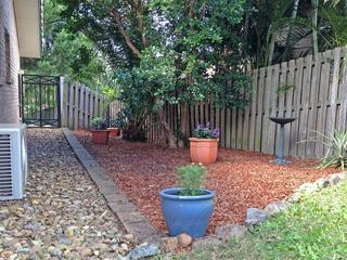 Side Yard