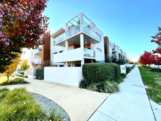 1/4 Thadoona Street, ACT 2911