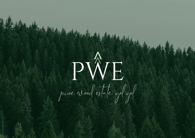 Lot 40 Pine Wood Estate, NSW 2738