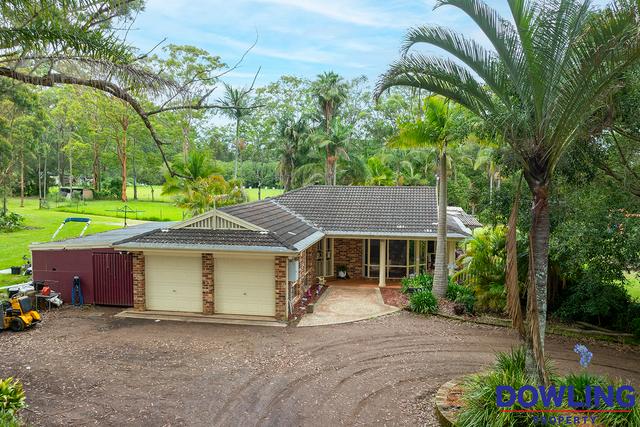 101 Macadamia Circuit, NSW 2318