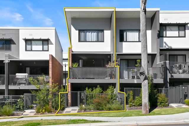 1/81 University Drive, NSW 2298