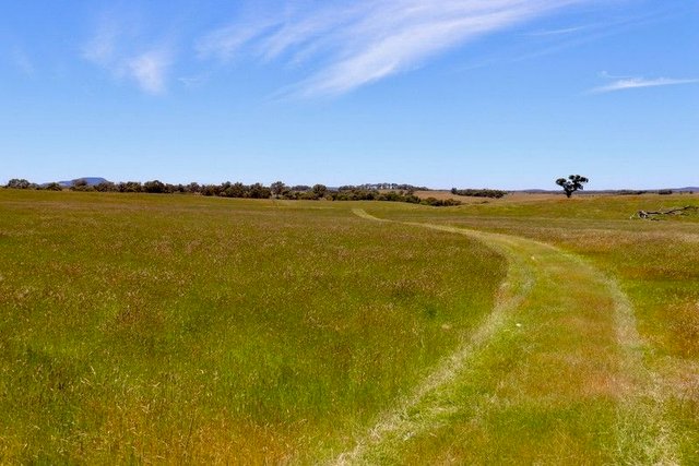 13, 13A, 13B, 31A &, Bridge Road, VIC 3352