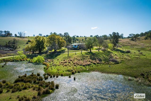 174 Daisy Hill Road, NSW 2550