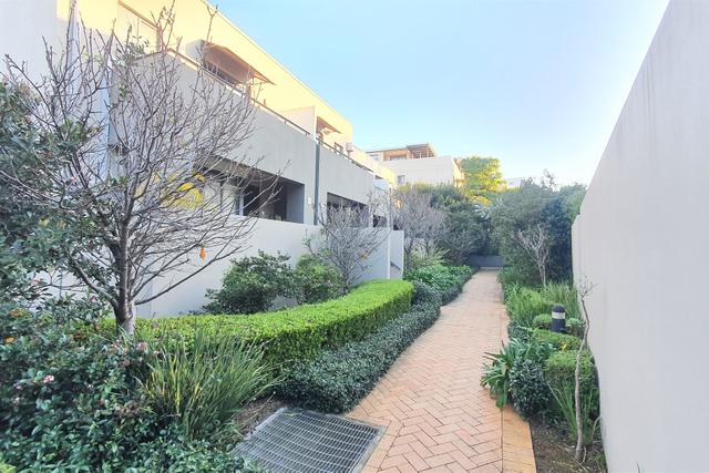 17/15 Begonia Street, NSW 2035