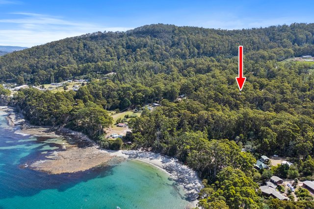 321 Pirates Bay Drive, TAS 7179