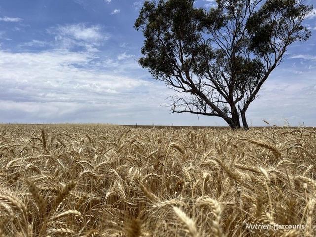 . 'McKays', WA 6407