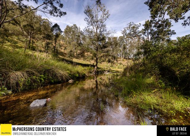 McPhersons Country Estates Enfield Range Road, NSW 2424