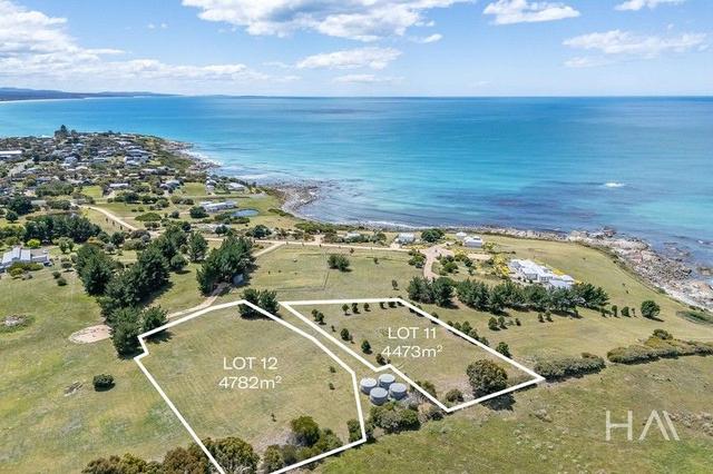 11 & 12/36 Franks Street, TAS 7215