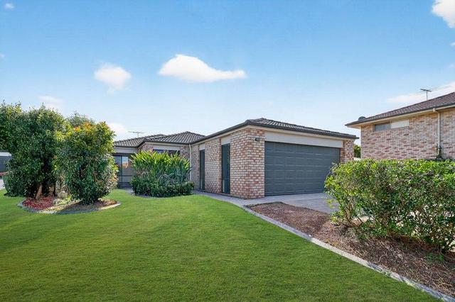 4 Waratah Court, QLD 4503