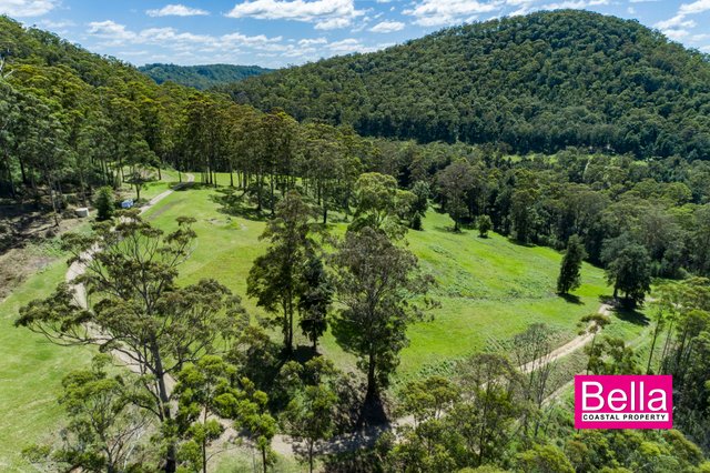 Lot 1 Monkey Mountain Road, NSW 2539