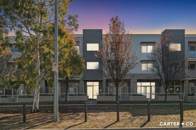 31/31 Thynne Street, ACT 2617