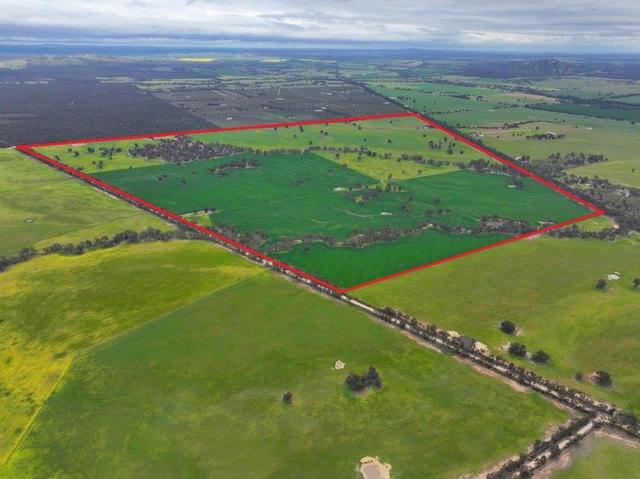 -- Brenanah-Kurting Road, VIC 3517