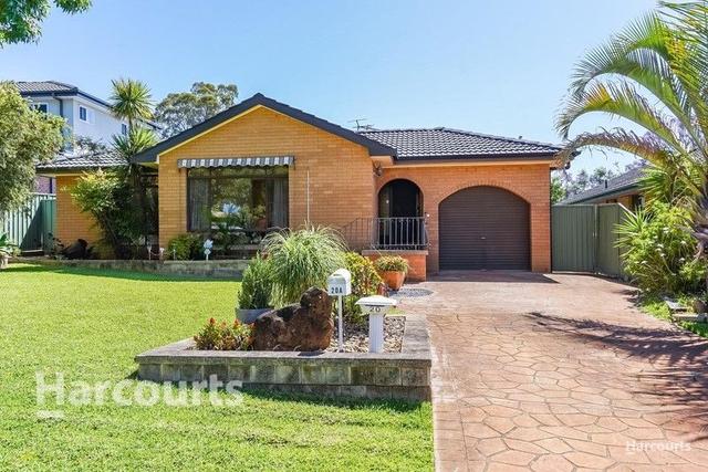 20 Semillon Crescent, NSW 2558