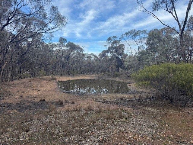 67A Eucy Road, VIC 3520