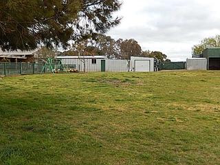 Sheds Back Paddock (2018-11-05)