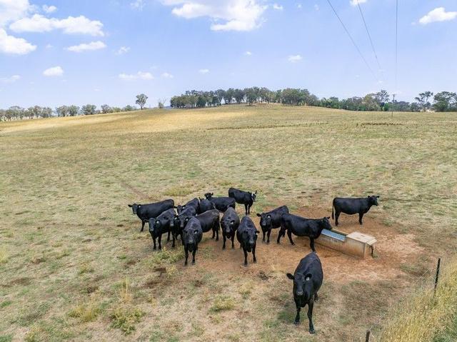 21 Meadows  Lane, NSW 2797