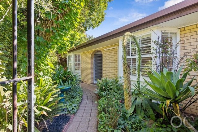 3/195 Fisher Street, SA 5061