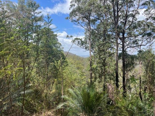 Connollys Creek Road, NSW 2424