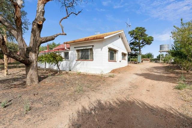 125 Cucumunga  Street, SA 5341