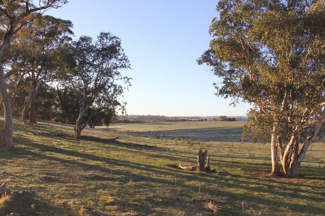 Cattle Street, NSW 2584